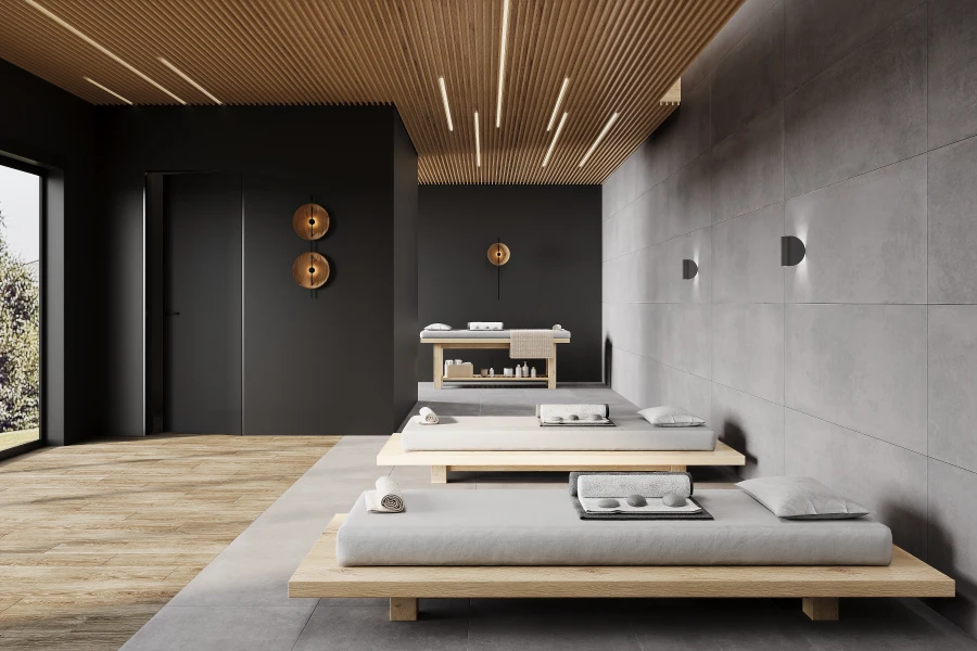 Betonica grey pro