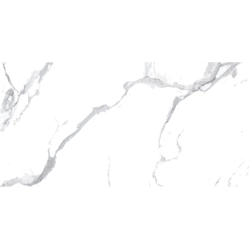 Calacatta Splendid Silver Керамогранит белый 60х120 Матовый