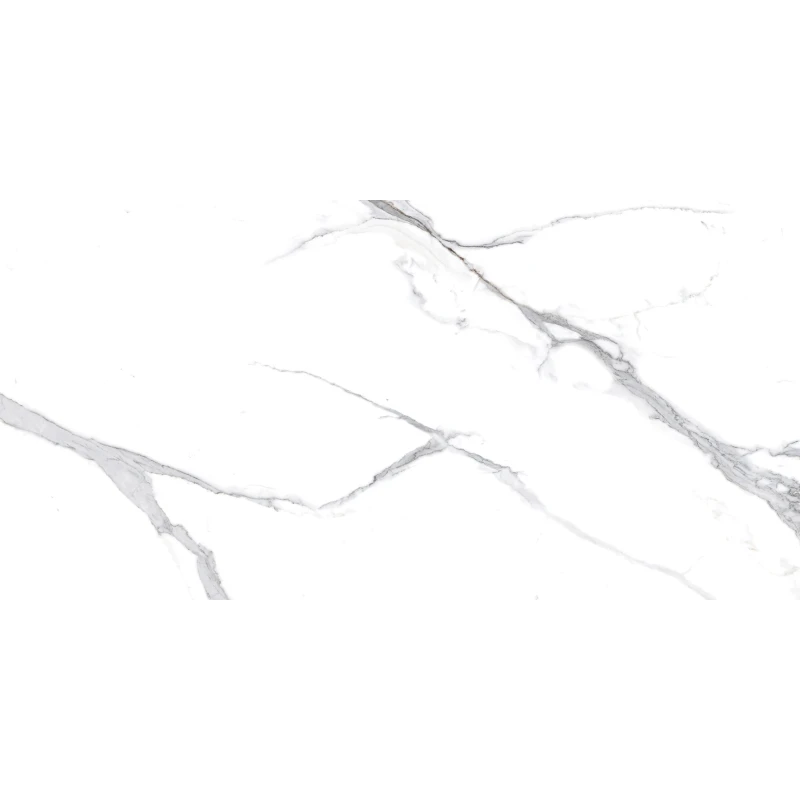 Calacatta Splendid Silver Керамогранит белый 60х120 Матовый