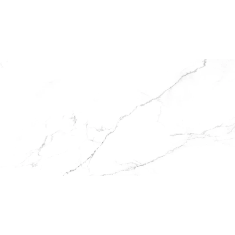 Discovery Blanco Керамогранит белый SG50002420R 59,5х119,1 матовый