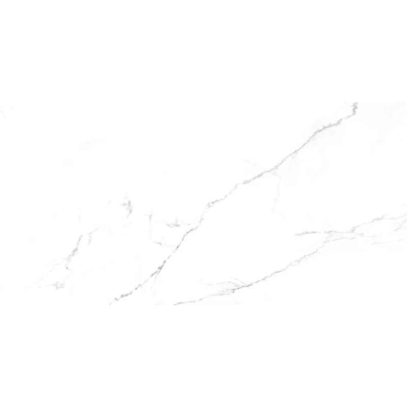 Discovery Blanco Керамогранит белый SG50002422R 59,5х119,1 полированный