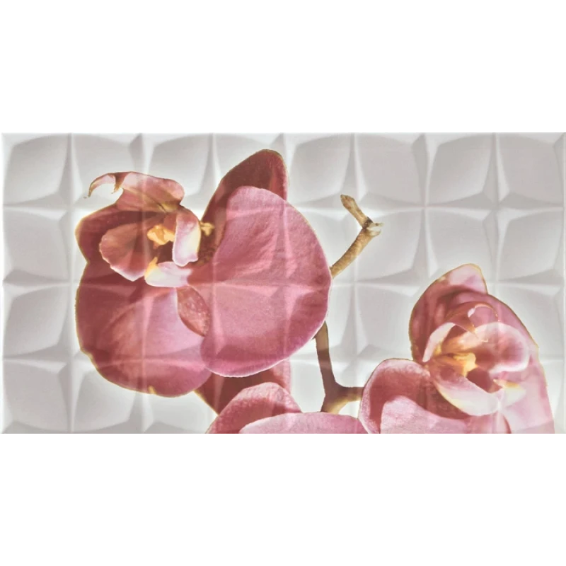 Dec. Orchid C Blanco BLN Декор 31,6x59,34