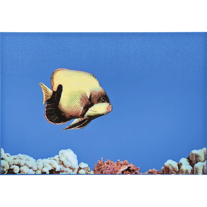 MONO FISH 1 Декор 27,5х40