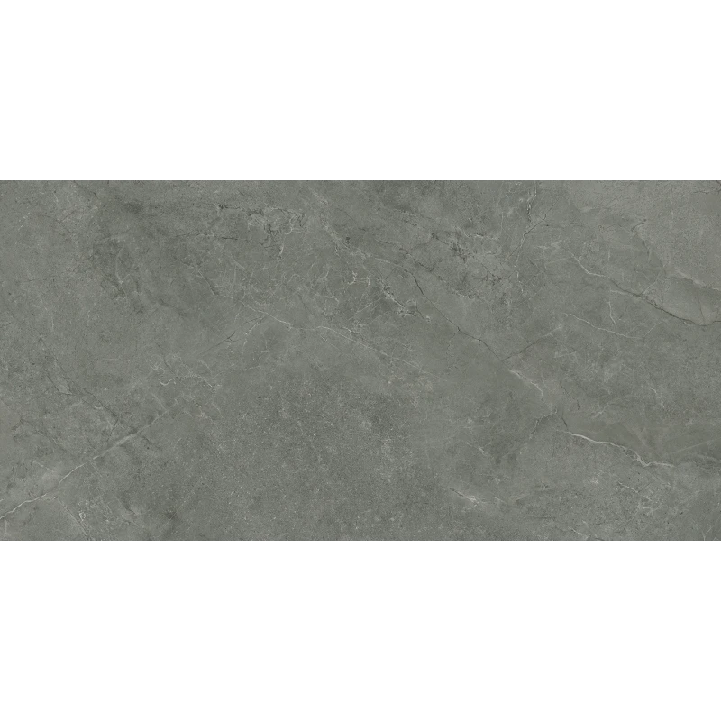 Pluto Grigio Керамогранит серый SG50005320R 59,5х119,1 матовый