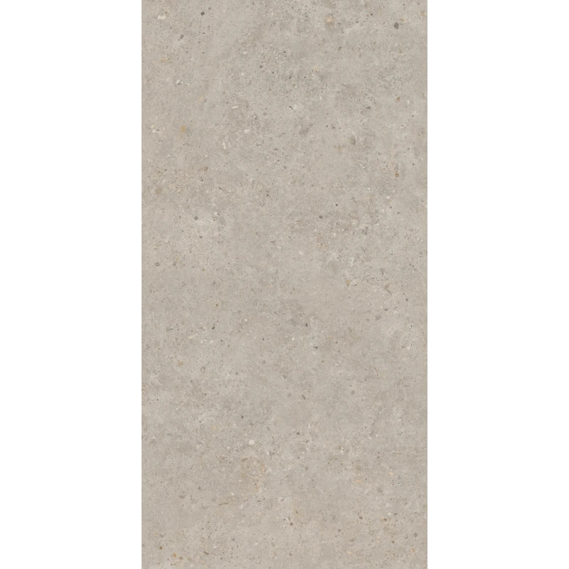 Риккарди Керамогранит бежевый матовый обрезной SG540620R 60x119,5