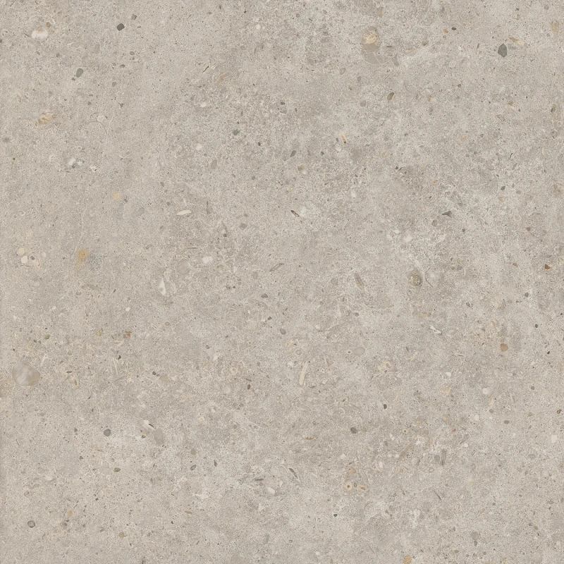 Риккарди Керамогранит бежевый матовый обрезной SG653820R 60x60