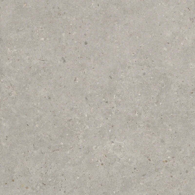 Риккарди Керамогранит серый светлый матовый обрезной SG653720R 60x60