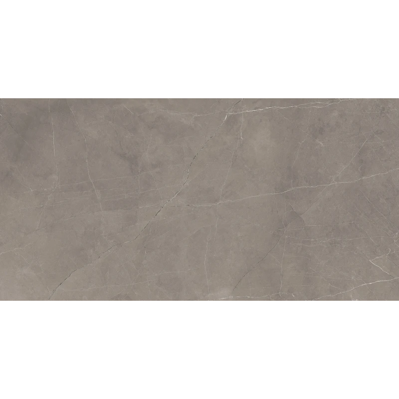 Splash Grey Керамогранит серый 60х120 Сатинированный Карвинг
