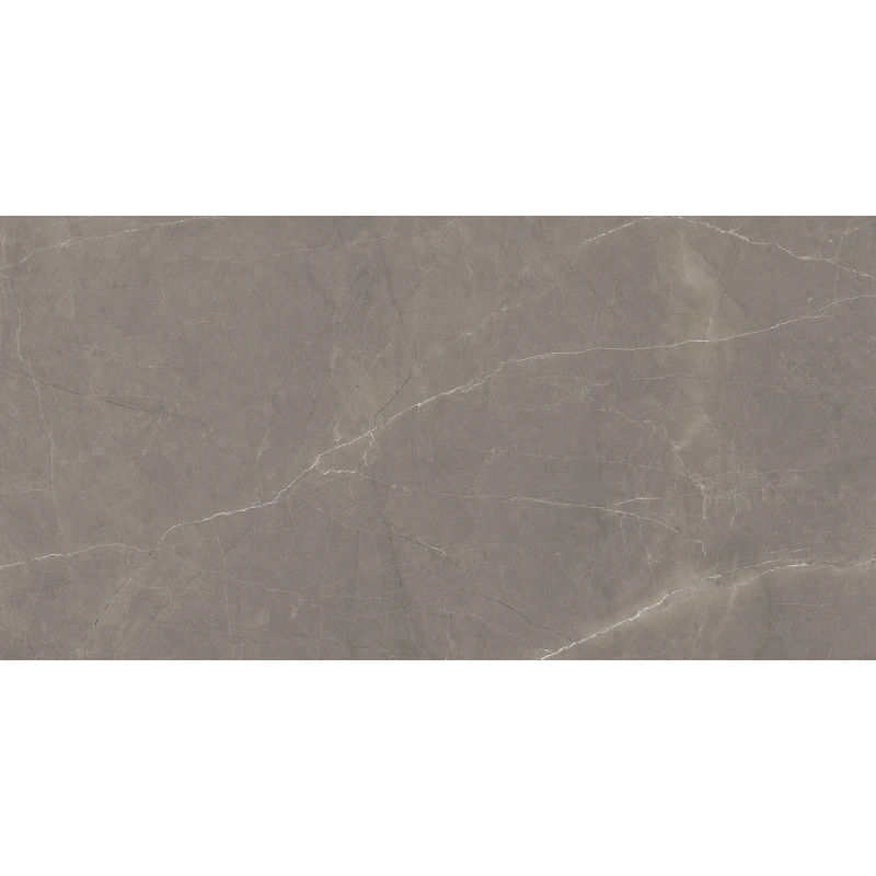 Splash Grey Керамогранит серый 60х120 Сатинированный Карвинг