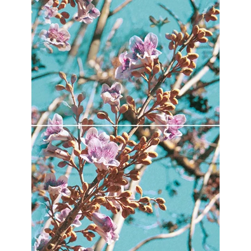 Spring P2D261 Панно из 2-х плиток 30х40